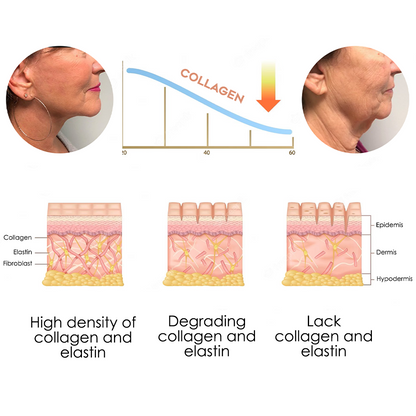 flysmus™ Japan NeckUp Collagen Whitening Cream